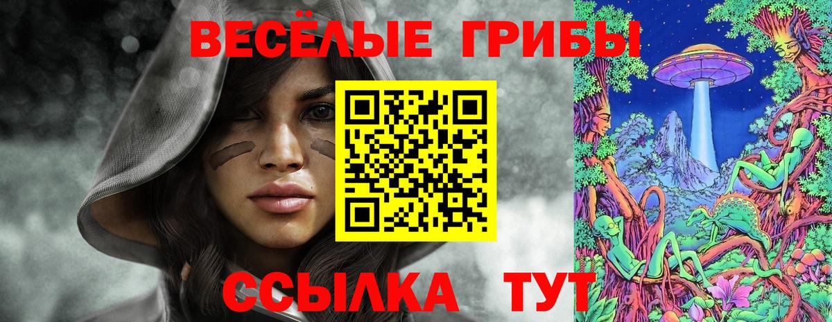 Галлюциногенные грибы Magic Shrooms  Вход с VPN  Псилоцибиновые грибы Cubensis  Когалым 