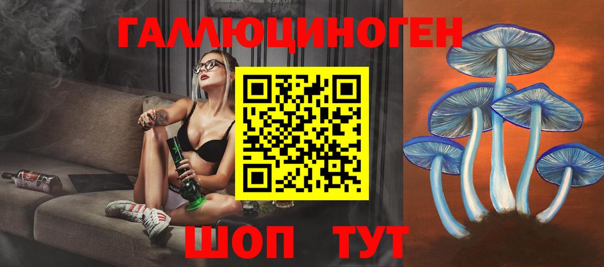 Псилоцибиновые грибы GOLDEN TEACHER Когалым